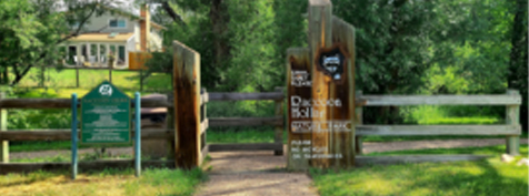 Raccoon Park